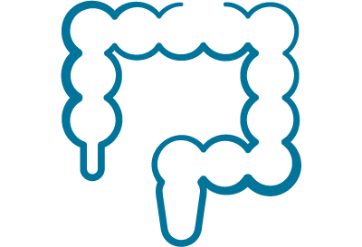 abdominal icon