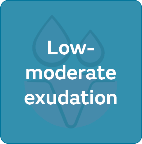 Low-moderate exudation